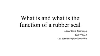 What is and what is the
function of a rubber seal
Luis Antonio Tormento
12/07/2022
Luis.tormento@outlook.com
 