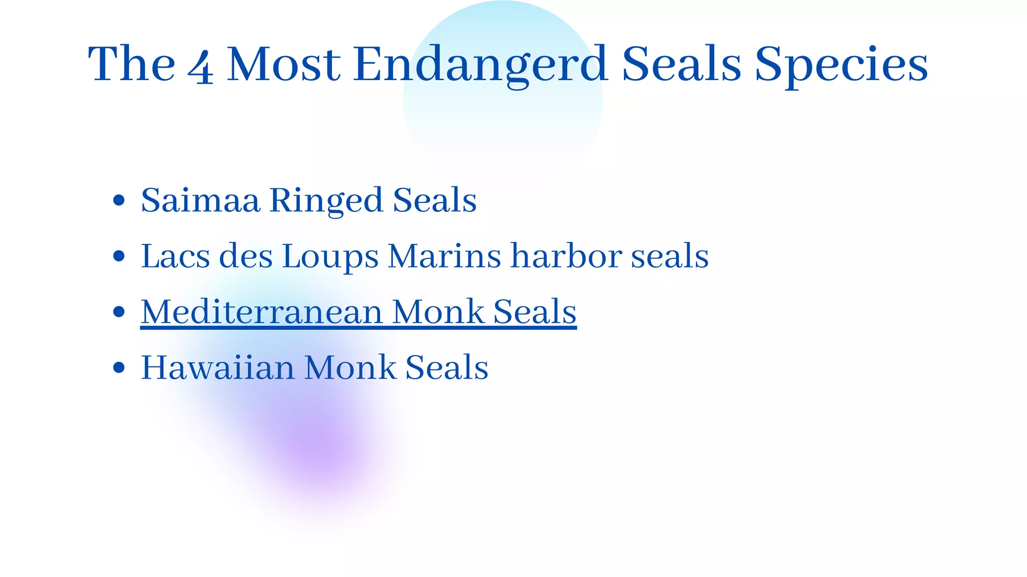 The 4 Most Endangerd Seals Species
Saimaa Ringed Seals
Lacs des Loups Marins harbor seals
Mediterranean Monk Seals
Hawaiian Monk Seals