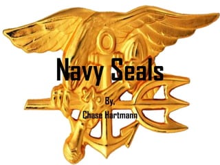 Navy Seals
        By,
  Chase Hartmann
 