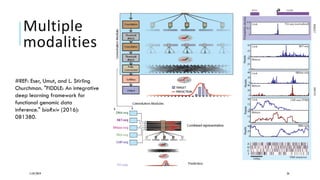Multiple
modalities
11/07/2019 26
#REF: Eser, Umut, and L. Stirling
Churchman. "FIDDLE: An integrative
deep learning framework for
functional genomic data
inference." bioRxiv (2016):
081380.
 