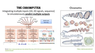 Source: https://simons.berkeley.edu/sites/default/files/docs/4575/2016-kundaje-simonsinstitute-
deeplearning.pdf
https://qph.ec.quoracdn.net
Chromatins
 