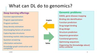 What can DL do to genomics?
Deep learning offerings
Function approximation
Program approximation
Program synthesis
Deep density estimation
Disentangling factors of variation
Capturing data structures
Generating realistic data (sequences)
Question-answering
Information extraction
Knowledge graph construction and
completion
11/07/2019 43
Genomic problems
GWAS, gene-disease mapping
Binding site identification
Function prediction
Drug-target binding
Drug design
Structure prediction
Sequence generation
Functional genomics
Optimizing sequences
Organizing the (knowledge about)
omics universe
Inspire
Solve
 