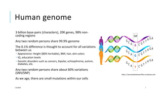 Human genome
3 billion base-pairs (characters), 20K genes, 98% non-
coding regions
Any two random persons share 99.9% genome
The 0.1% difference is thought to account for all variations
between us
 Appearance: Height (80% heritable), BMI, hair, skin colors
 IQ, education levels
 Genetic disorders such as cancers, bipolar, schizophrenia, autism,
diabetes, etc.
Any two random persons share about 60% variations
(SNV/SNP)
As we age, there are small mutations within our cells
11/07/2019 7
https://neuroendoimmune.files.wordpress.com
 