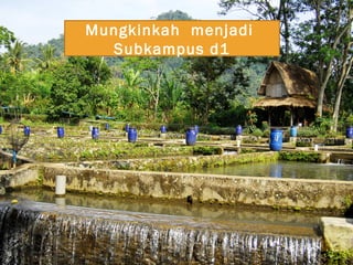 Mungkinkah  menjadi  Subkampus d1 