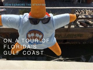 JOIN SEAMORE THE STARF ISH 
ON A TOUR OF 
F LORIDA ' S 
GUL F COA S T 
 