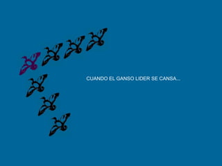 CUANDO EL GANSO LIDER SE CANSA...