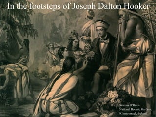 In the footsteps of Joseph Dalton Hooker
Seamus O’Brien.
National Botanic Gardens,
Kilmacurragh, Ireland.
 