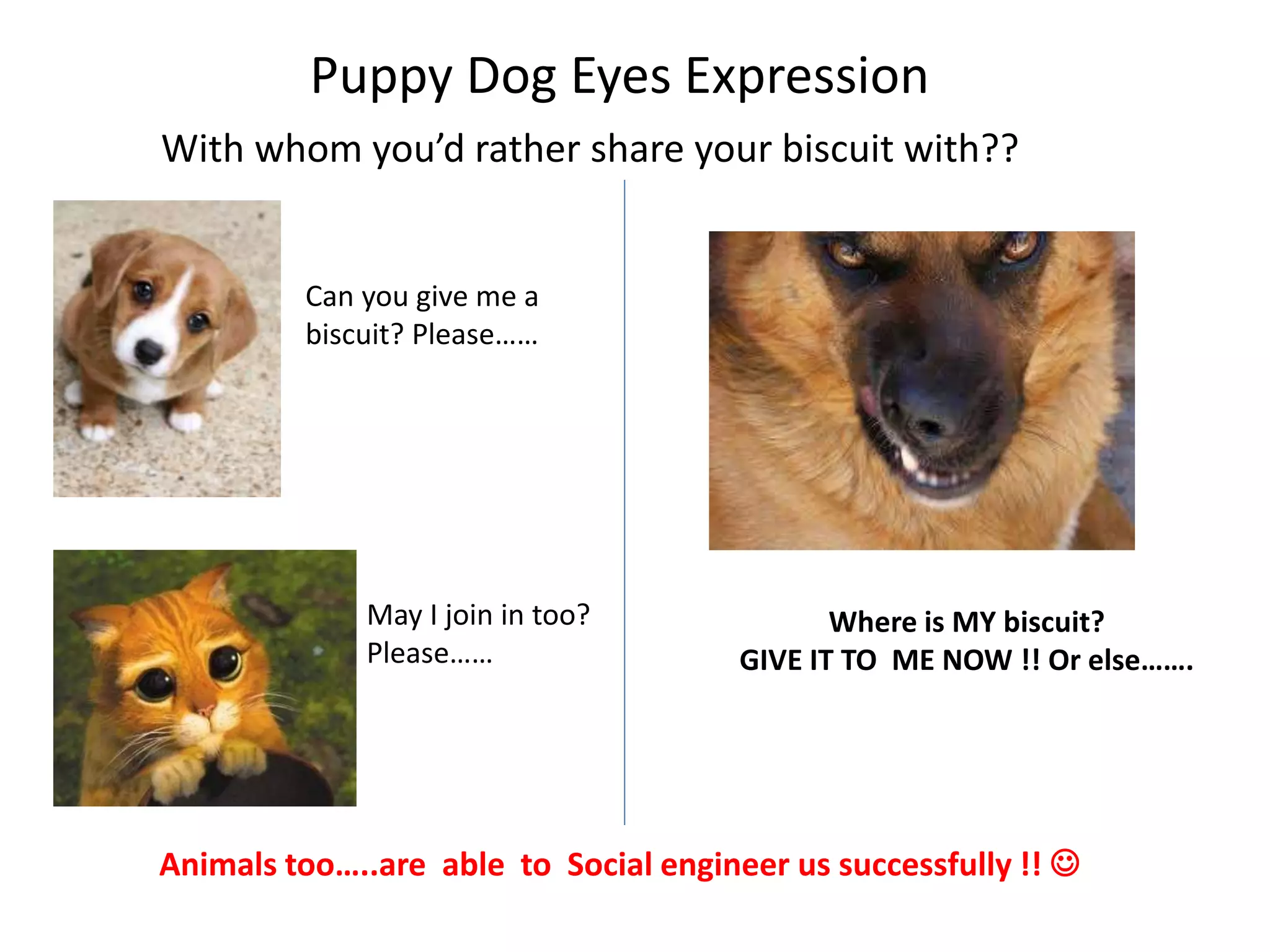 Puppy Dog Eyes Expression 
With whom you’d rather share your biscuit with?? 
Can you give me a 
biscuit? Please…… 
May I join in too? 
Please…… 
Where is MY biscuit? 
GIVE IT TO ME NOW !! Or else……. 
Animals too…..are able to Social engineer us successfully !!  
 