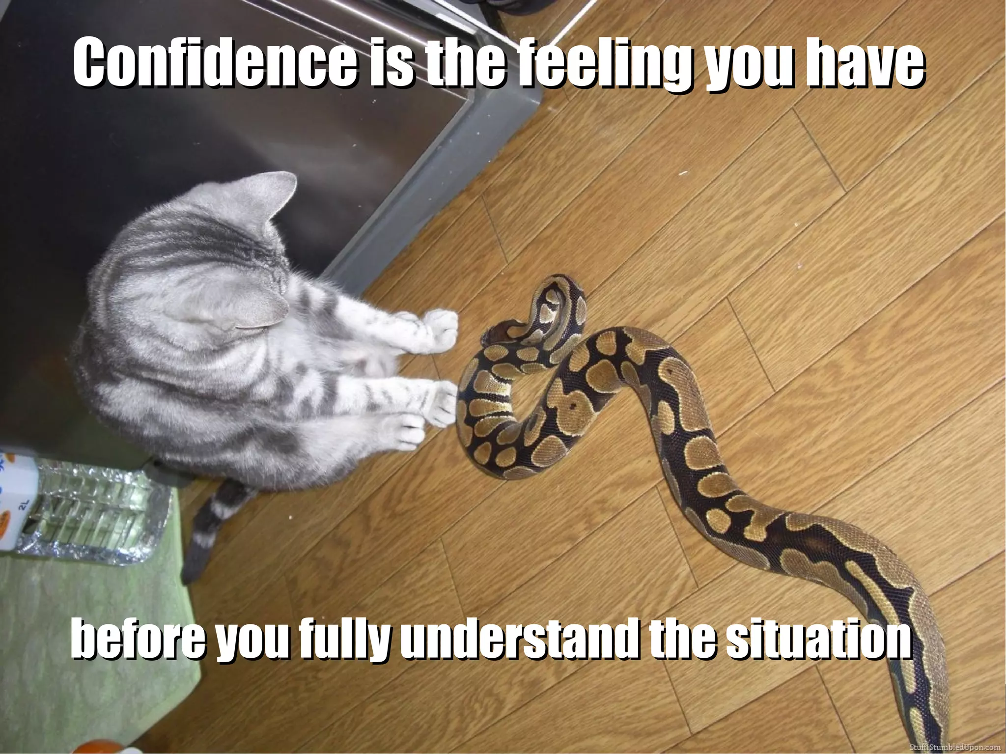 www.semrush.com
@seanmalseed @smx
Confidence is the feeling you haveConfidence is the feeling you have
before you fully understand the situationbefore you fully understand the situation
 