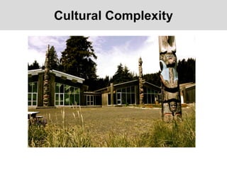 Cultural Complexity
 
