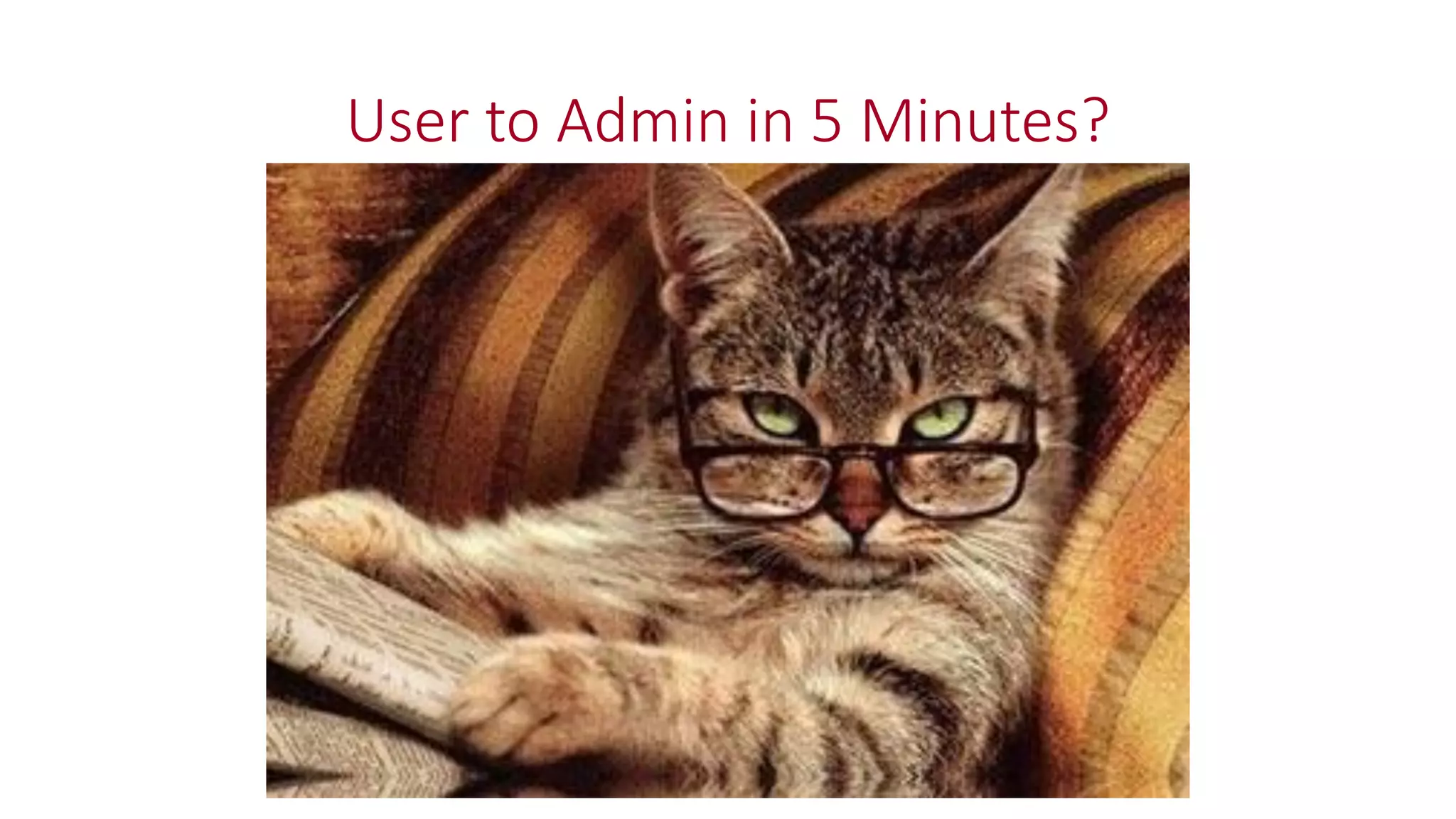 User to Admin in 5 Minutes?
 