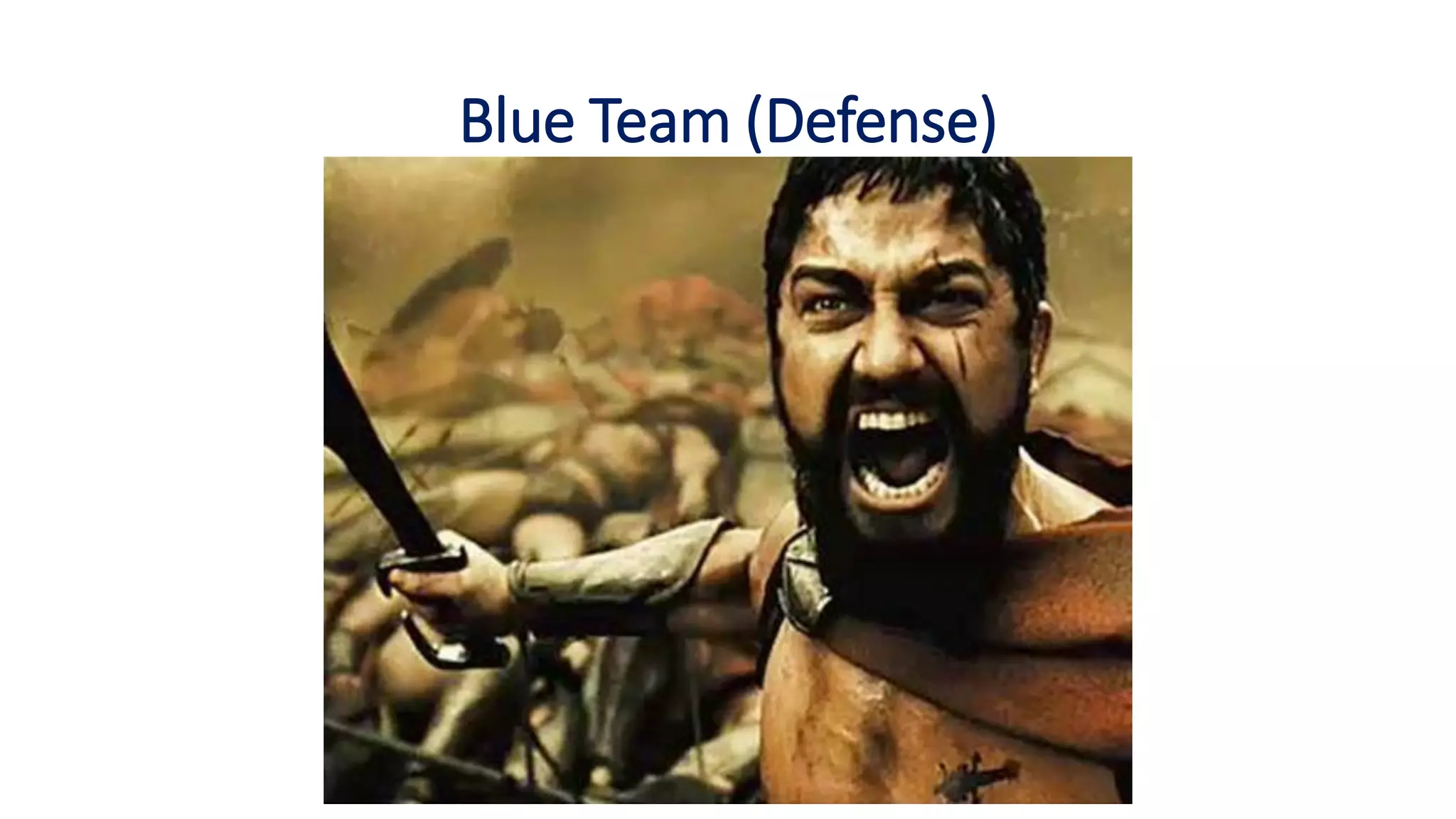 Blue Team (Defense)
 