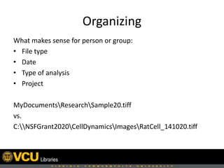 Organizing
What makes sense for person or group:
• File type
• Date
• Type of analysis
• Project
MyDocumentsResearchSample20.tiff
vs.
C:NSFGrant2020CellDynamicsImagesRatCell_141020.tiff
 