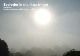Ecologies in the Mass Image
Sean Cubitt
Data Driven Innovation 2019, Rome May 10-11
 
