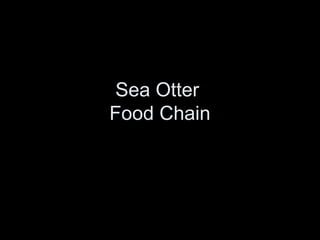 Sea Otter
Food Chain
 