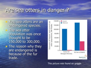 Are sea otters in danger ?  Yes, sea otters are an endangered species.  The sea otter population was once thought to be 150,000 to 300,000. The reason why they are endangered is because of the fur trade. This picture was found on goggle  