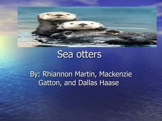 Sea otters  By: Rhiannon Martin, Mackenzie Gatton, and Dallas Haase  