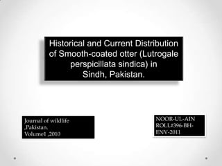 Historical and Current Distribution
of Smooth-coated otter (Lutrogale
perspicillata sindica) in
Sindh, Pakistan.
Journal of wildlife
,Pakistan.
Volume1 ,2010
NOOR-UL-AIN
ROLL#396-BH-
ENV-2011
 