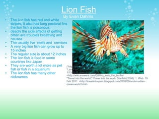 Lion Fish By Evan Dahms  The lion fish has red and white  stripes, it also has long pectoral fins the lion fish is poisonous  deadly the side affects of getting bitten are troubles breathing and nausea The usually live  reefs and  crevices  A very big lion fish can grow up to 15 inches The regular size is about 12 inches The lion fish is food in some countries like Japan They are worth a lot more as pet fish or fish in a aquarium The lion fish has many other nicknames ("http://animals.nationalgeographic.com/animals/fish/lionfish/") "Lion Fish."  http://wiki.answers.com/Q/Who_eats_the_lionfish . N.p., 1/15/2010. Web. 8 Feb 2011. <http://wiki.answers.com/Q/Who_eats_the_lionfish "Travel into the world."  Travel into the world Starfish  (2008): 1. Web. 10 Feb 2011. <http://travelintospain.blogspot.com/2008/09/under-indian-ocean-world.html> 