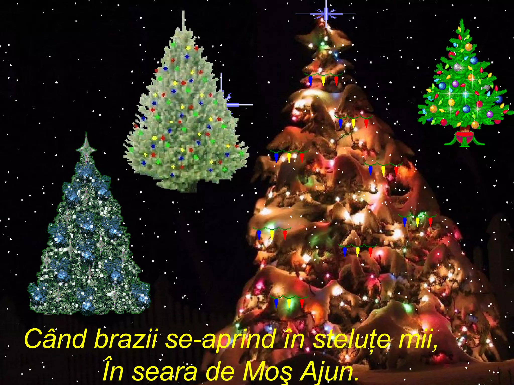 Când brazii se-aprind în steluţe mii , În seara de Moş Ajun. 
