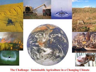 Complex agricultural problems and innovative approaches to their solutions