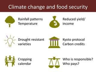 Complex agricultural problems and innovative approaches to their solutions