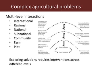 Complex agricultural problems and innovative approaches to their solutions