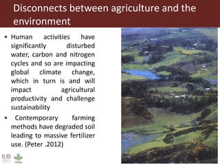 Complex agricultural problems and innovative approaches to their solutions