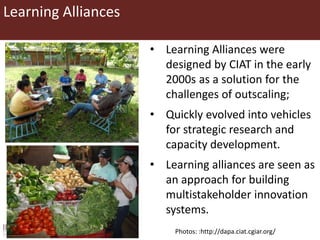 An overview of innovation platforms