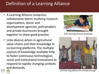 An overview of innovation platforms