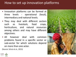Composition and initiation of agricultural innovation platforms