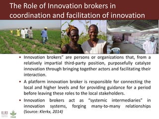 Coordination and facilitation of innovation platforms