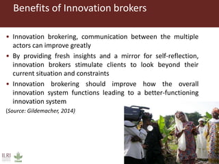 Coordination and facilitation of innovation platforms