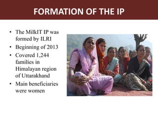 Theory in practice: MilkIT innovation platforms in India’s Himalayan mountains