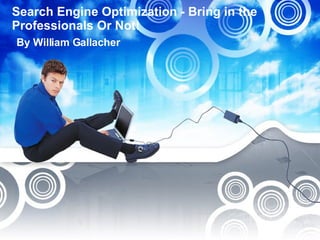 Search Engine Optimization - Bring in the Professionals Or Not!  By William Gallacher  