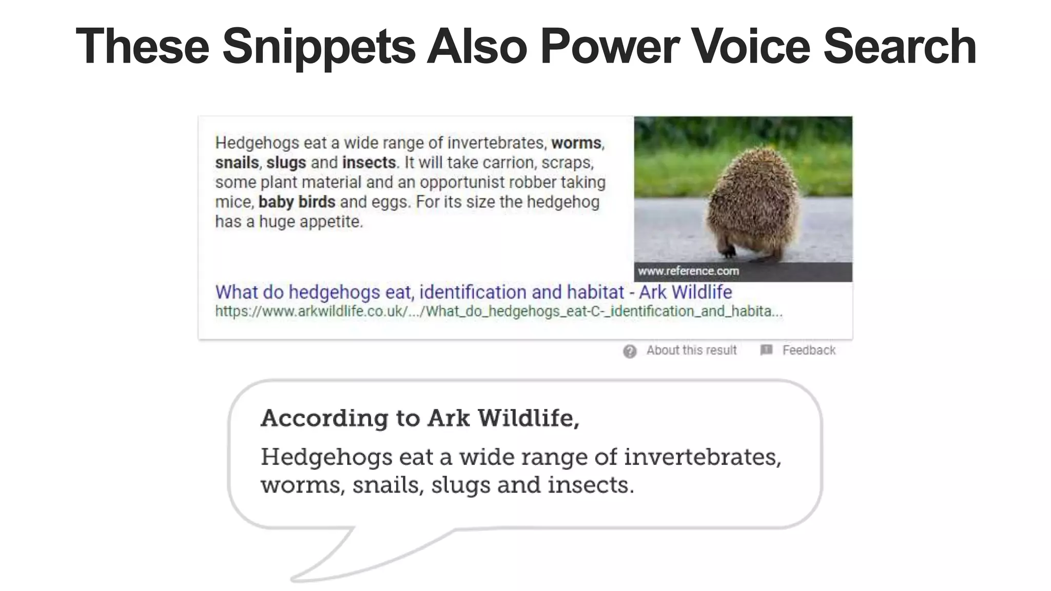 These Snippets Also Power Voice Search
 