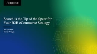 Search is the Tip of the Spear for
Your B2B eCommerce Strategy
Joe Cicman
Senior Analyst
 