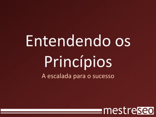Entendendo os
Princípios
A escalada para o sucesso
 