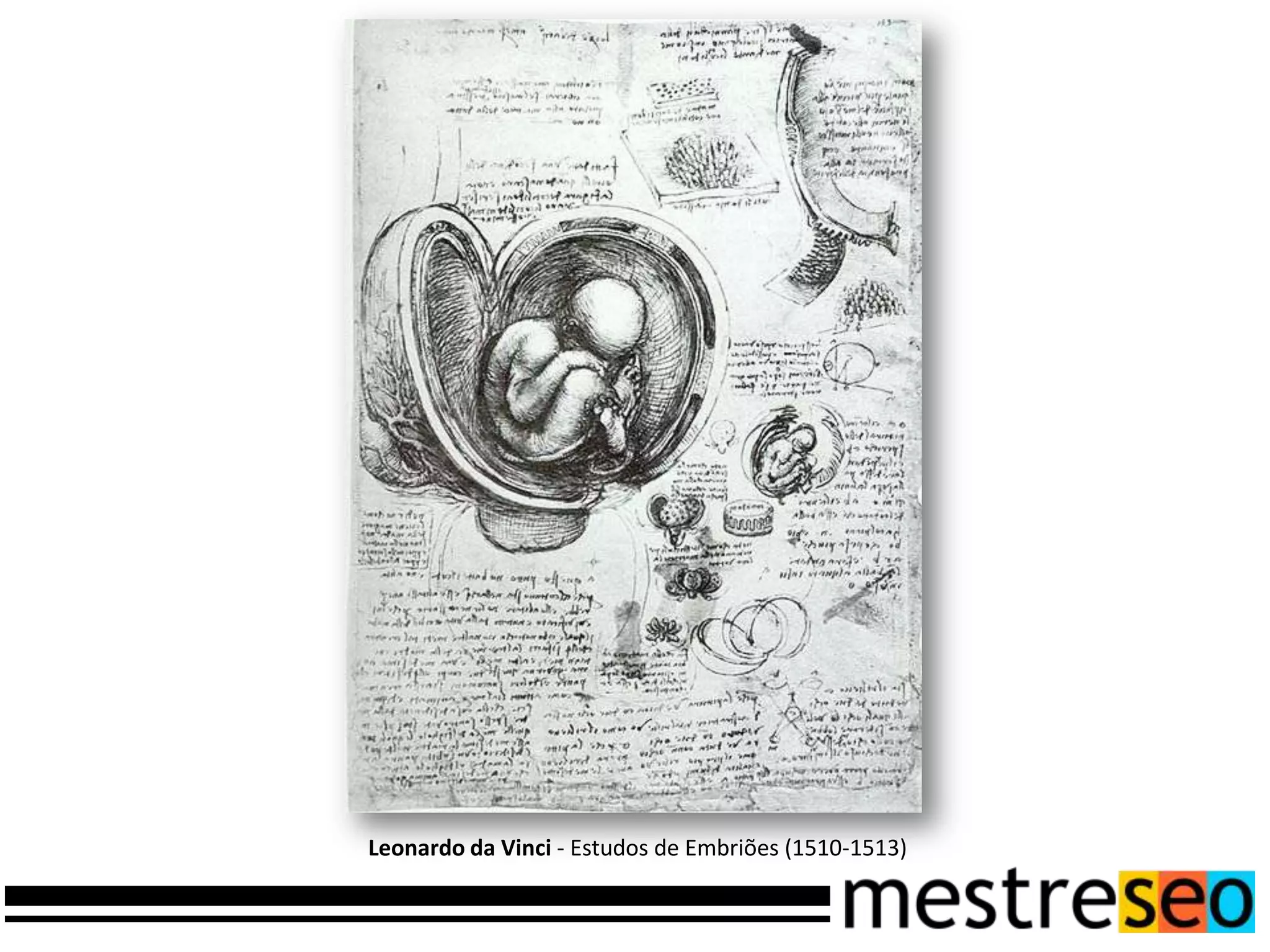 Leonardo da Vinci - Estudos de Embriões (1510-1513)
 
