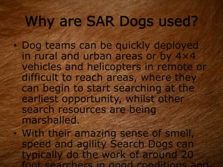 Why are SAR Dogs used?
• Dog teams can be quickly deployed
in rural and urban areas or by 4×4
vehicles and helicopters in remote or
difficult to reach areas, where they
can begin to start searching at the
earliest opportunity, whilst other
search resources are being
marshalled.
• With their amazing sense of smell,
speed and agility Search Dogs can
typically do the work of around 20
 