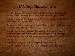 SAR Dogs Characteristics
• Must be agileand resistant enough to deal with typical difficulties of
search and rescue activities.Thus toybreeds are not a good choice.
• Must not be so big that its size makes the rescue task even more difficult
(mountains, helicopters, boats).
• Exception: When people need to be pulled out of water, giant breeds, like
Newfounland, are very useful.
• Must be exceptionally motivated to search during long time periods
under the most unfavourable conditions. Therefore, dogs with high prey
drive are preferred because they get obsessed with the “fetch the human”
game.
• Must be perfectly socialized to people and other animals
• Must be accustomed to work (or play) under stressful situations.
 