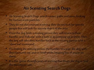 Air Scenting Search Dogs
• AirScenting Search Dogssearch routes, pathsand areas looking
for human scentparticles.
• They do not discriminatescent e.g.they donot look forspecific
peoplebut willlook foranyone thatis in the area.
• Once thedog findsa missingperson theywill return to their
handler and ‘indicate‘with a bark or by jumpingup atthem.Then
thedog willtaketheirhandler back tothe missingperson with a
‘show me‘command.
• On finding themissingperson thehandler ‘rewards‘the dogwith
their favouritetoy and/or foodwhilstheapinglots of praise on
them.
• It is this ‘game’through years of trainingthatdrives thedog tofind
themissingperson.
 