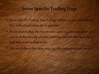 Scent Specific Trailing Dogs
• Scent Specific Trailing Search Dogs follow a scent traillooking
for / following humanscent particles.
• These search dogs do discriminate scent e.g. they are given an
article of the missing persons clothing and willthenhuntfor a
trail that matchesthatscent.
• The rest follows the same way, i.e. , theindicationand reward.
 
