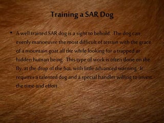Training a SAR Dog
• A well trained SAR dog is a sight to behold. The dog can
evenly manoeuvre the most difficultof terrain with thegrace
of a mountaingoat all thewhile looking for a trapped or
hidden humanbeing. This type of work is often done on the
fly, at the drop of the hat, with littleadvanced warning. It
requires a talenteddog and a special handler willing to invest
thetimeand effort.
 
