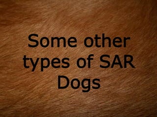 Some other
types of SAR
Dogs
 