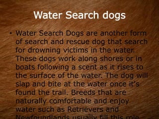 Water Search dogs
• Water Search Dogs are another form
of search and rescue dog that search
for drowning victims in the water.
These dogs work along shores or in
boats following a scent as it rises to
the surface of the water. The dog will
slap and bite at the water once it's
found the trail. Breeds that are
naturally comfortable and enjoy
water such as Retrievers and
 