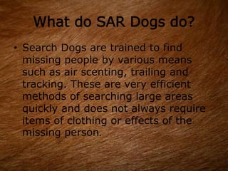 What do SAR Dogs do?
• Search Dogs are trained to find
missing people by various means
such as air scenting, trailing and
tracking. These are very efficient
methods of searching large areas
quickly and does not always require
items of clothing or effects of the
missing person.
 