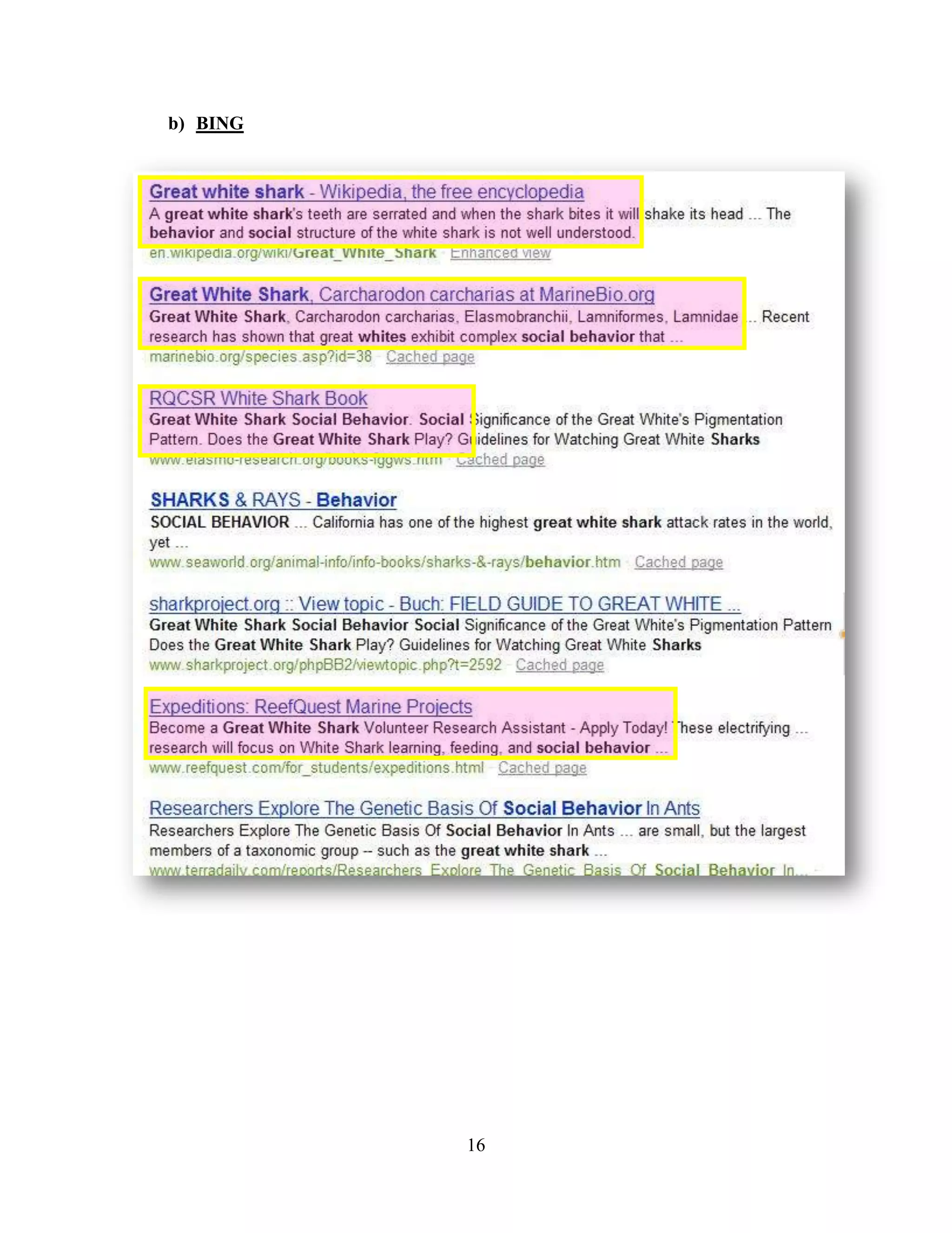 b) BING




          16
 