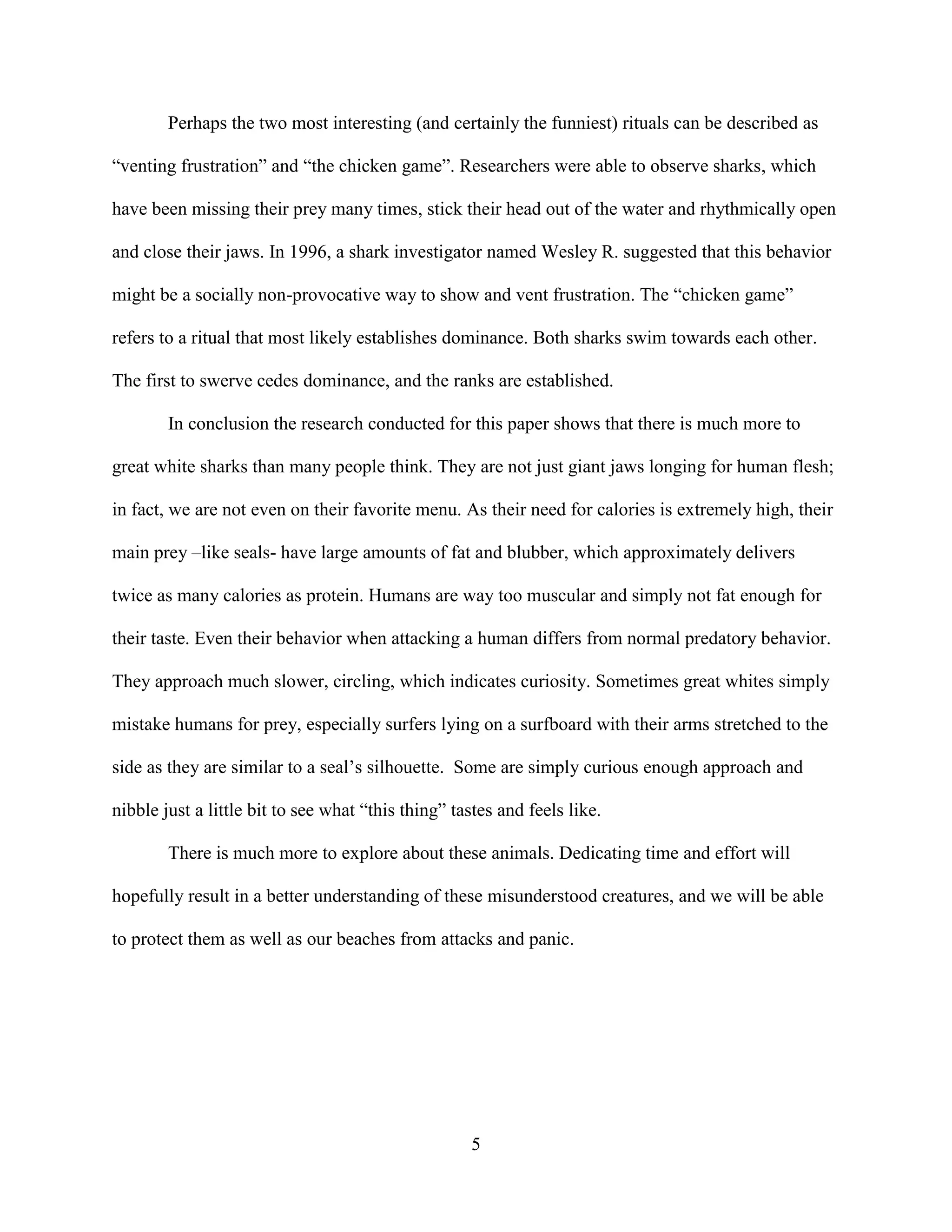 Perhaps the two most interesting (and certainly the funniest) rituals can be described as

“venting frustration” and “the chicken game”. Researchers were able to observe sharks, which

have been missing their prey many times, stick their head out of the water and rhythmically open

and close their jaws. In 1996, a shark investigator named Wesley R. suggested that this behavior

might be a socially non-provocative way to show and vent frustration. The “chicken game”

refers to a ritual that most likely establishes dominance. Both sharks swim towards each other.

The first to swerve cedes dominance, and the ranks are established.

        In conclusion the research conducted for this paper shows that there is much more to

great white sharks than many people think. They are not just giant jaws longing for human flesh;

in fact, we are not even on their favorite menu. As their need for calories is extremely high, their

main prey –like seals- have large amounts of fat and blubber, which approximately delivers

twice as many calories as protein. Humans are way too muscular and simply not fat enough for

their taste. Even their behavior when attacking a human differs from normal predatory behavior.

They approach much slower, circling, which indicates curiosity. Sometimes great whites simply

mistake humans for prey, especially surfers lying on a surfboard with their arms stretched to the

side as they are similar to a seal’s silhouette. Some are simply curious enough approach and

nibble just a little bit to see what “this thing” tastes and feels like.

        There is much more to explore about these animals. Dedicating time and effort will

hopefully result in a better understanding of these misunderstood creatures, and we will be able

to protect them as well as our beaches from attacks and panic.




                                                    5
 