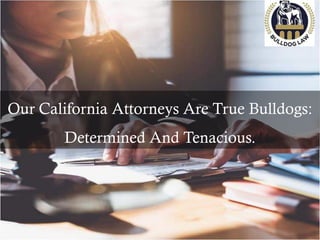 Our California Attorneys Are True Bulldogs:
Determined And Tenacious.
 
